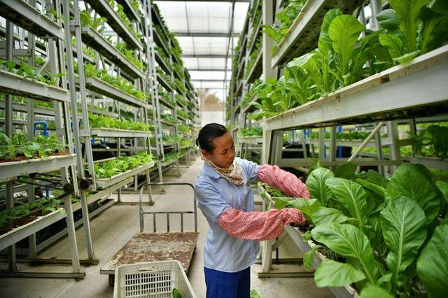 农业穿上科技武装——现代农业让农民不再‘土气’