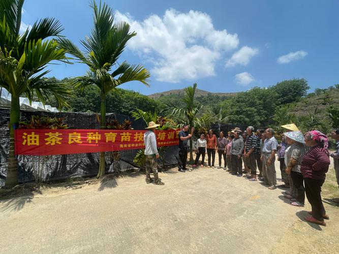 在琼中举办油茶良种育苗和栽培技术培训班