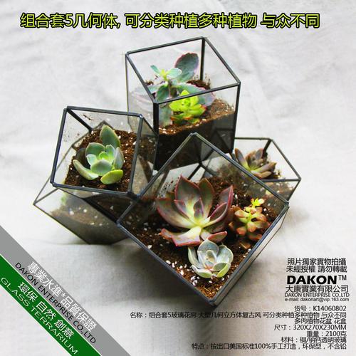 工厂批发 组合5套玻璃花房 复古风花房花盆 分类种植多种植物容器