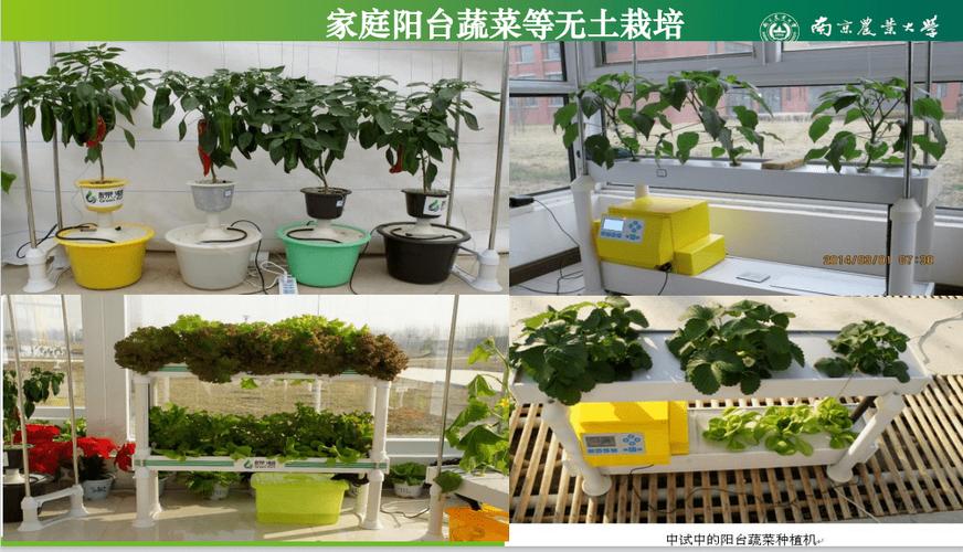 我国无土栽培技术研究与应用中存在的