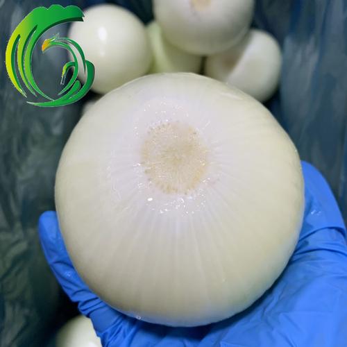 剥皮充氮 黄洋葱 工厂直供 甘肃产地 备案种植基地 供出口日韩