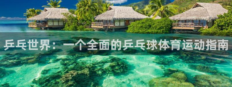 球速体育：乒乓世界：一个全面的乒乓球体育运动指南