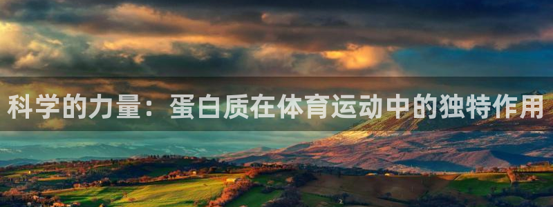 球速体育：科学的力量：蛋白质在体育运动中的独特作用